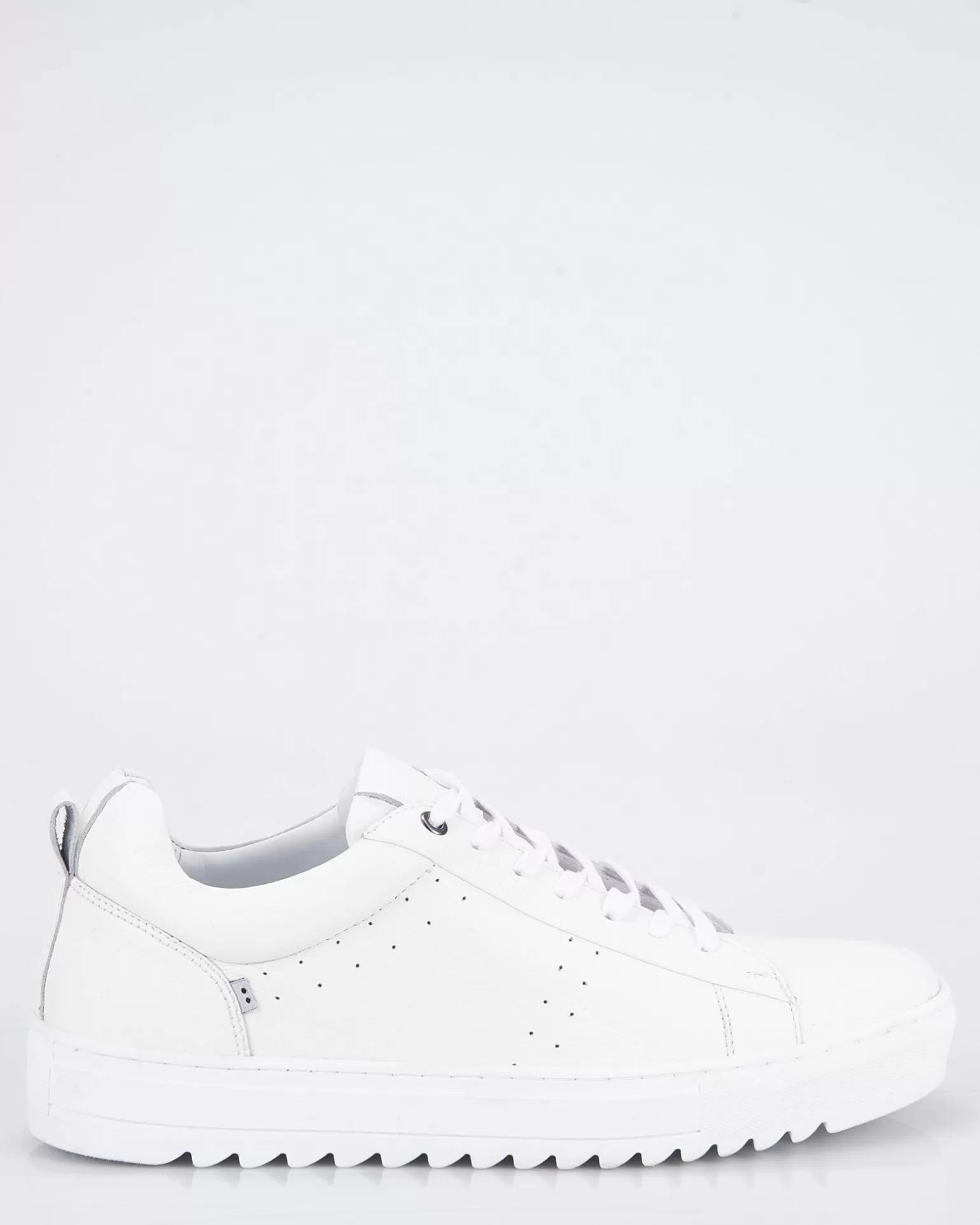 Sneakers>J.C. RAGS Flash Sale